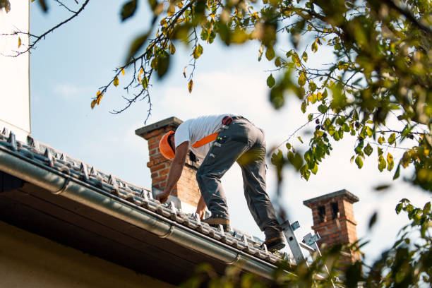 Best Roof Gutter Cleaning  in Depoe Bay, OR